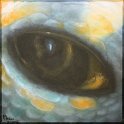 Augenblick einer gelbfüßigen Schildkröte; Acryl auf Leinwand;
30 x 30 cm